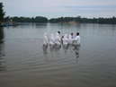 Крещение 2006 год